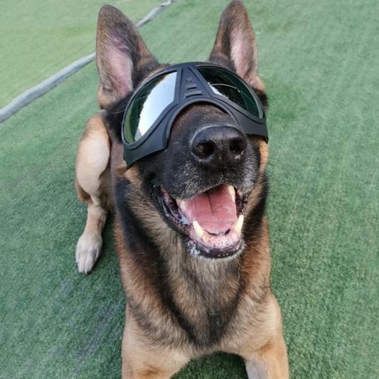 Dog Glasses Waterproof Snow-Proof Pet Goggles Soft Frame Comfortable Sunglasses For German Shepherd Dog